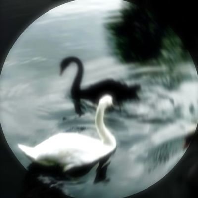 DahiiChaval's profile picture. it's a wondrous place for you and me!!   here to post Soft Love | Slow Scenes | Heartbreaks | Moments | Music | U & I | MARRIED