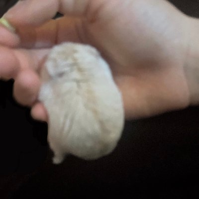 Ewendira's profile picture. ❤️🧤|| oc + misc