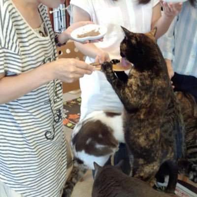 PS5版はインストールし直してもダメでしたー