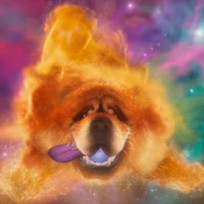 SpaceDogMoon's profile picture. 