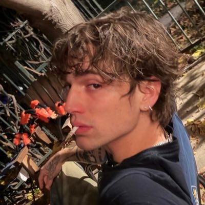 vinnieshugs's profile picture. run by @darlingyetagain and @exilemiro