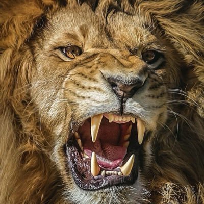 coreyjoneslaw's profile picture. Litigation Attorney. Political Strategist.