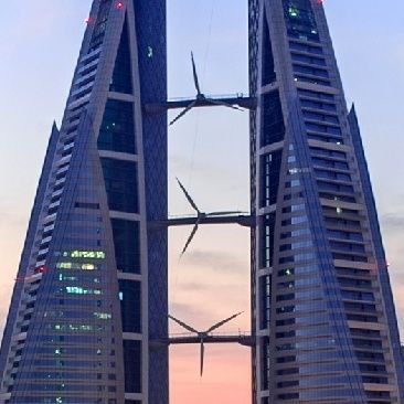 imnotXai's profile picture. Love is all