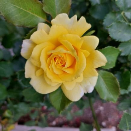 Maataluu's profile picture. Not young! No DMs!🚫 No spaces🚫