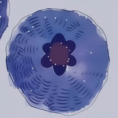 mhdAshraful's profile picture. 👨‍💻 Frontend Dev