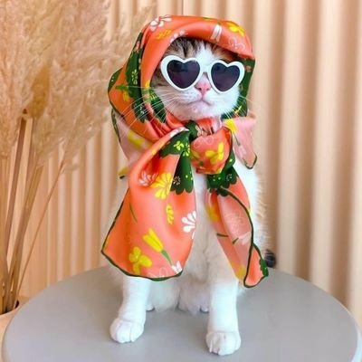 Itoshiteru_LILI's profile picture. 