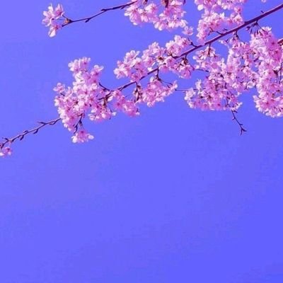 lanos_sona's profile picture. Hy folks.. I'm a self taught programmer and am quite inquisitive about things which helps me to delve deeper into anything I learn.