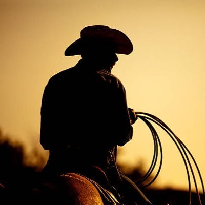 Jo4391Jo's profile picture. 