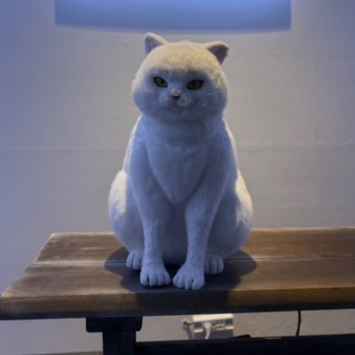 wR6VoUTt5Q55416's profile picture. 