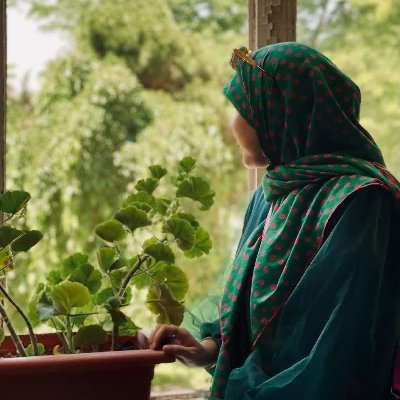 masume_vafadar's profile picture. چو عشق هست، غمی نیست...
نجات‌غریق/تنیسور/چای‌ریز بابا
📍 تبریز