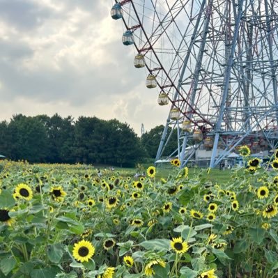 SoWx4zsv9z64075's profile picture. お友達ください‼️😿