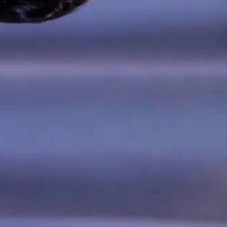 SophornSop12920's profile picture. I am so happy