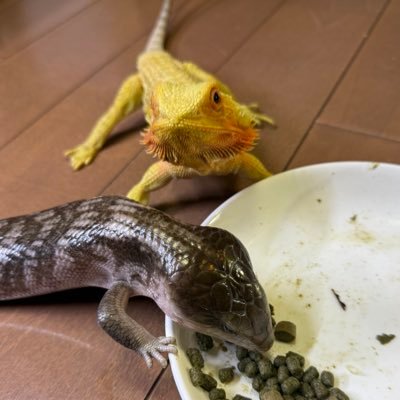 a_bc6654's profile picture. 