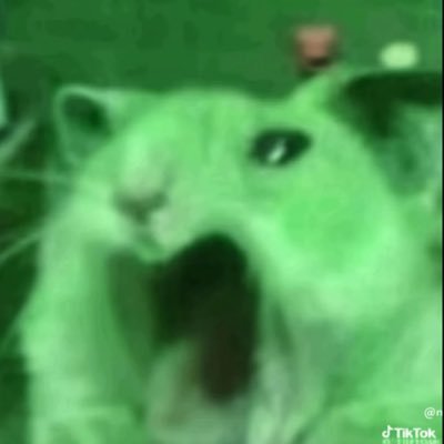 zx22s's profile picture. اللهُمّ اجعلني لنفسي خيراً ولغيري نوراً ولمن حولي أثراً طيبا❤️