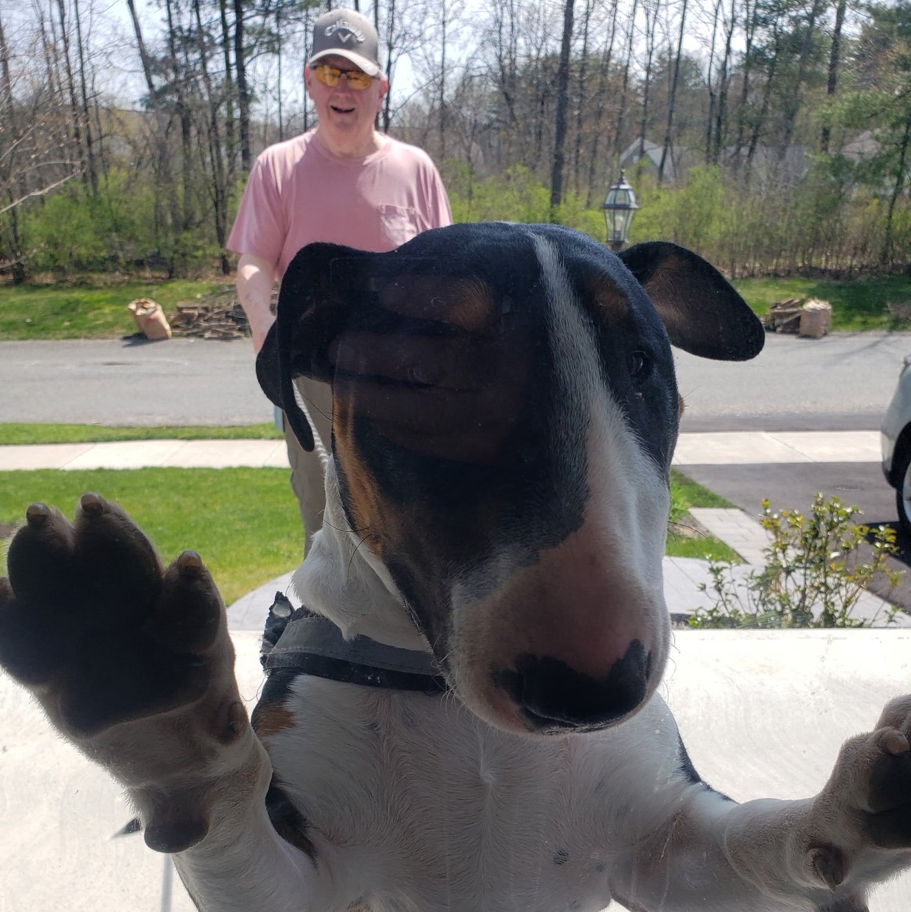 DavidBushmdbd's profile picture. 