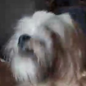 UniCoursework's profile picture. 