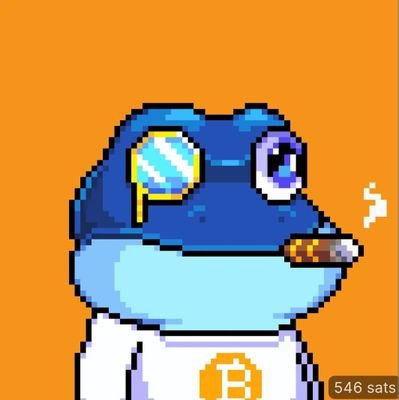 0xN4cxie's profile picture. Let's start fogy 🐸