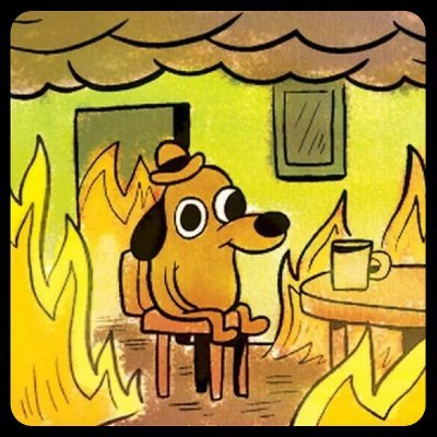 ivonascimento's profile picture. https://t.co/93csJcuCwh