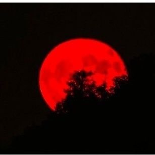 you_are73724's profile picture. simple man