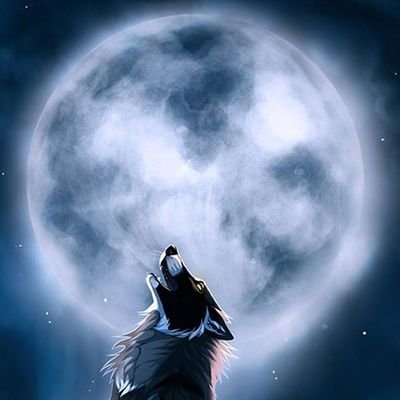 awes_spad's profile picture. WHO DARES WINS