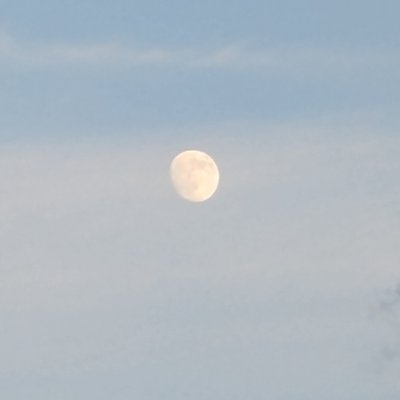 tuki7246535914's profile picture. 