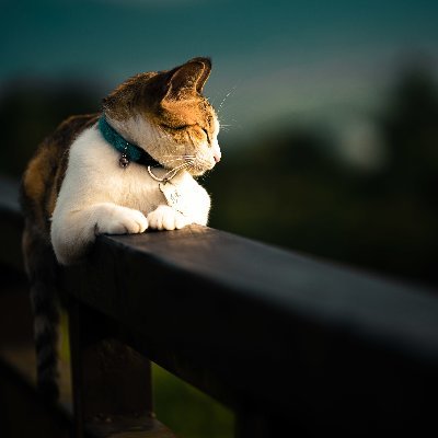 gr8_sec's profile picture. 