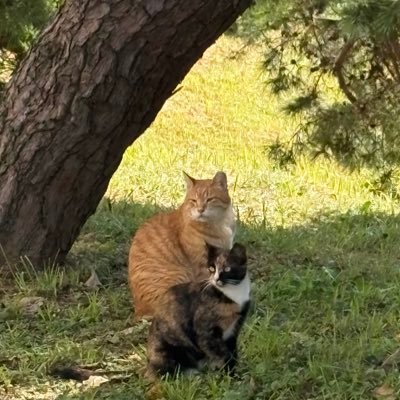 4yHues's profile picture. 