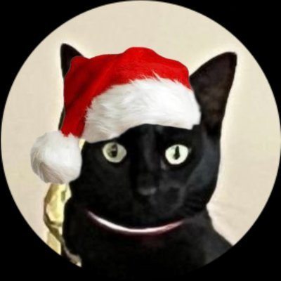 qualk37's profile picture. ✝️ Soli deo Gloria 🜋 | political ideology in shambles | Psalm 139:13-14, Abolitionist