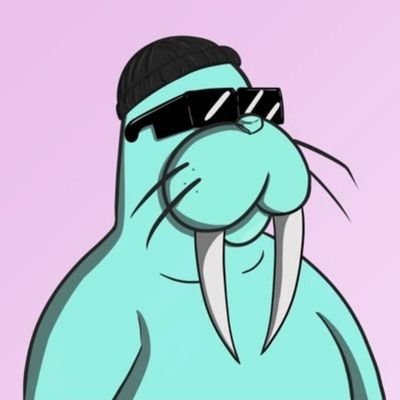 mahermahmu65's profile picture. Hi am student.