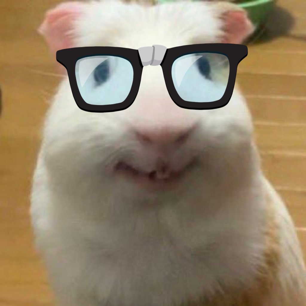 jukimnida's profile picture. 똥론똥스크때문에 부활한 사람