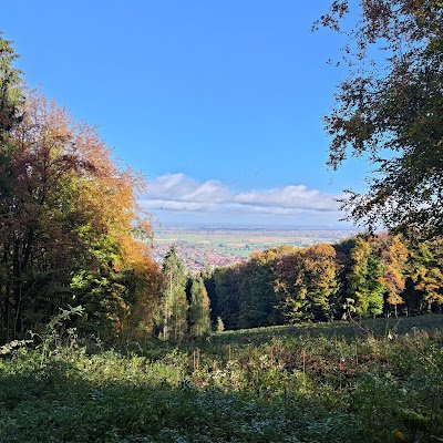 pochino93's profile picture. Chasing peaks and peaceful moments ⛰️🕊️