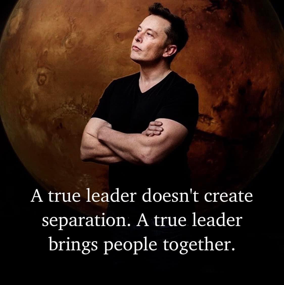 MinervaAlefTavk's profile picture. 