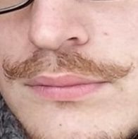 den_kamoza's profile picture. Эклер с сёмгой и фенибутом. Умеренный нарцисс. Периодически пропадаю, но возвращаюсь. Иногда пишу о кино и сериалах, но никто не читает. Развожу куриц.И петухов