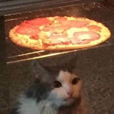 LexLu_666's profile picture. https://t.co/iDVoqld4k7
Genesis 32:28