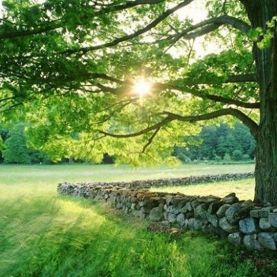 duocphamdatviet's profile picture. 