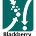 BlackberryCross (@bbcross) Twitter profile photo