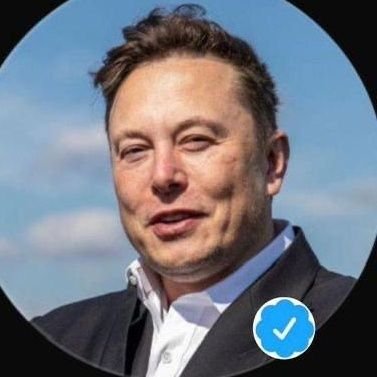 Megaelonmusk6's profile picture. SpaceX, Tesla, Inc, The Boring Company, Neunallnk, and OpenAl 🚀🛰
🌎🌌♂️♂️