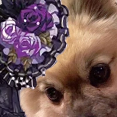 S2hnsucht's profile picture. 좋아하는 마음에 유통기한이 있다면 이 마음은 썩지않는 플라스틱임..