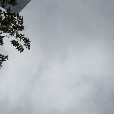 NA555NA5's profile picture. 