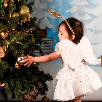 CMargaronis's profile picture. She/her | Harris-Walz | Thank you Joe 💙 | Biden-Harris | Aunt of trans niece | Aspiring Ally 🖤 ✡️ 🏳️‍🌈 🏳️‍⚧️| Fibro |🟦🟧 Biden4KHive