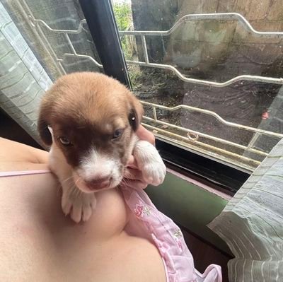 VrayaI73519's profile picture. 