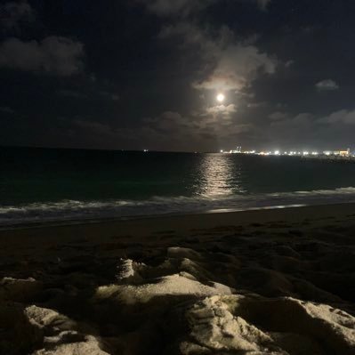 dindadantas's profile picture. 