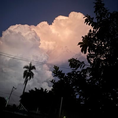 Fleurise0828's profile picture. 