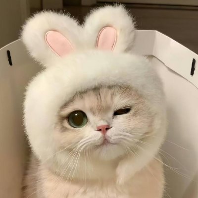 Phillipihj's profile picture. 꿈을 향해 한 걸음씩 나아가다 보면, 언젠가는 그 꿈을 이룰 수 있어요.