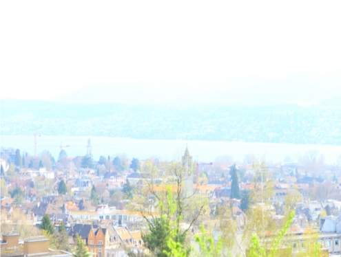 Homesitzurich's profile picture. 