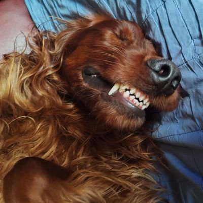 Tch1X's profile picture. 