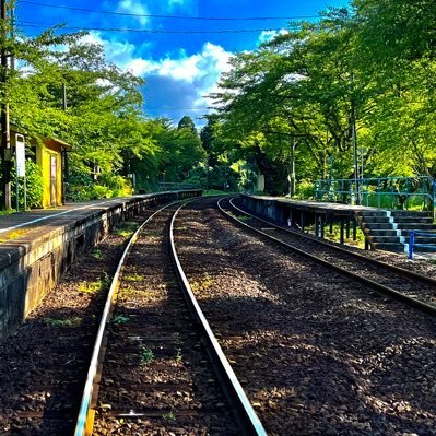 WayneBrook59626's profile picture. バランス型投資信託で着実な成長を目指す。ガーデニングとカフェ好き。