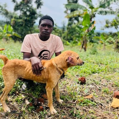 SanctuaryPets's profile picture. Lost and alone  My fur-ever friend needs support. I'm struggling to care for my loyal companion. If you can help with dog food, vet bills, or just a kind