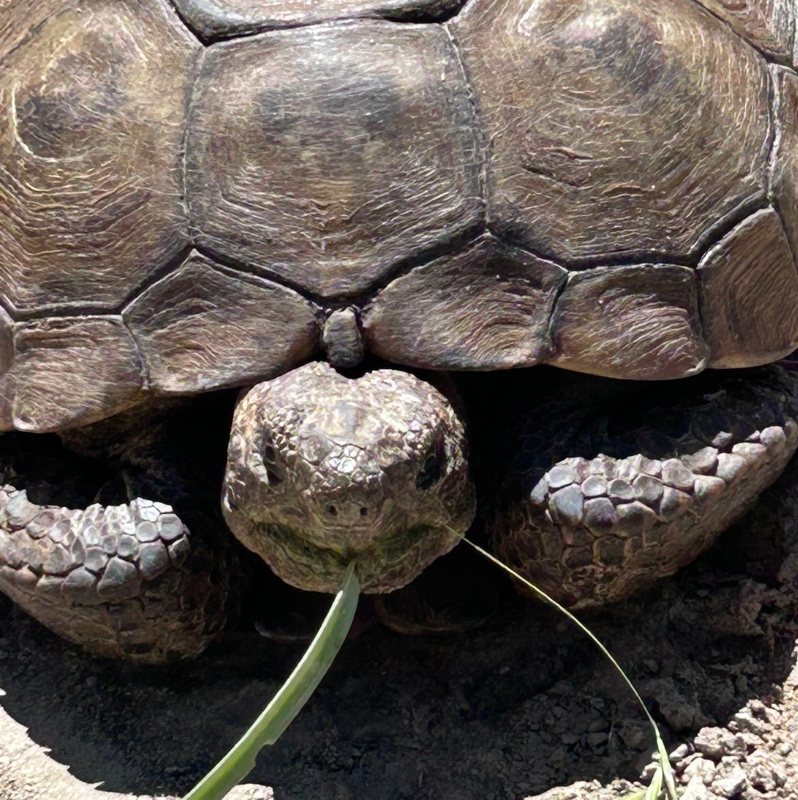 BillGvq3s's profile picture. 