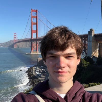 pavlovski_dev's profile picture. fullstack developer, 15 yo, build in public